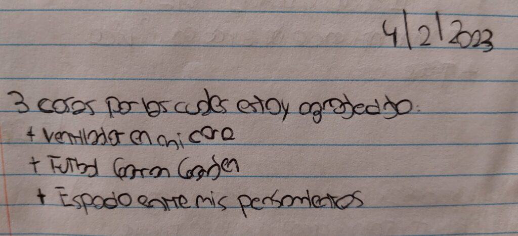 Diario de Agradecimiento Personal
