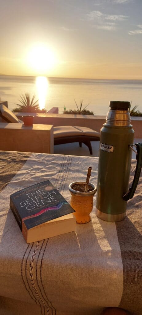 Libro Selfish Gene Tomando Mate en el amanecer