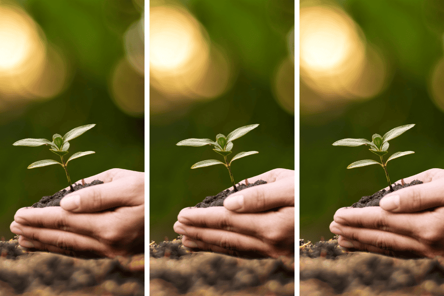 crecimiento personal ejemplos