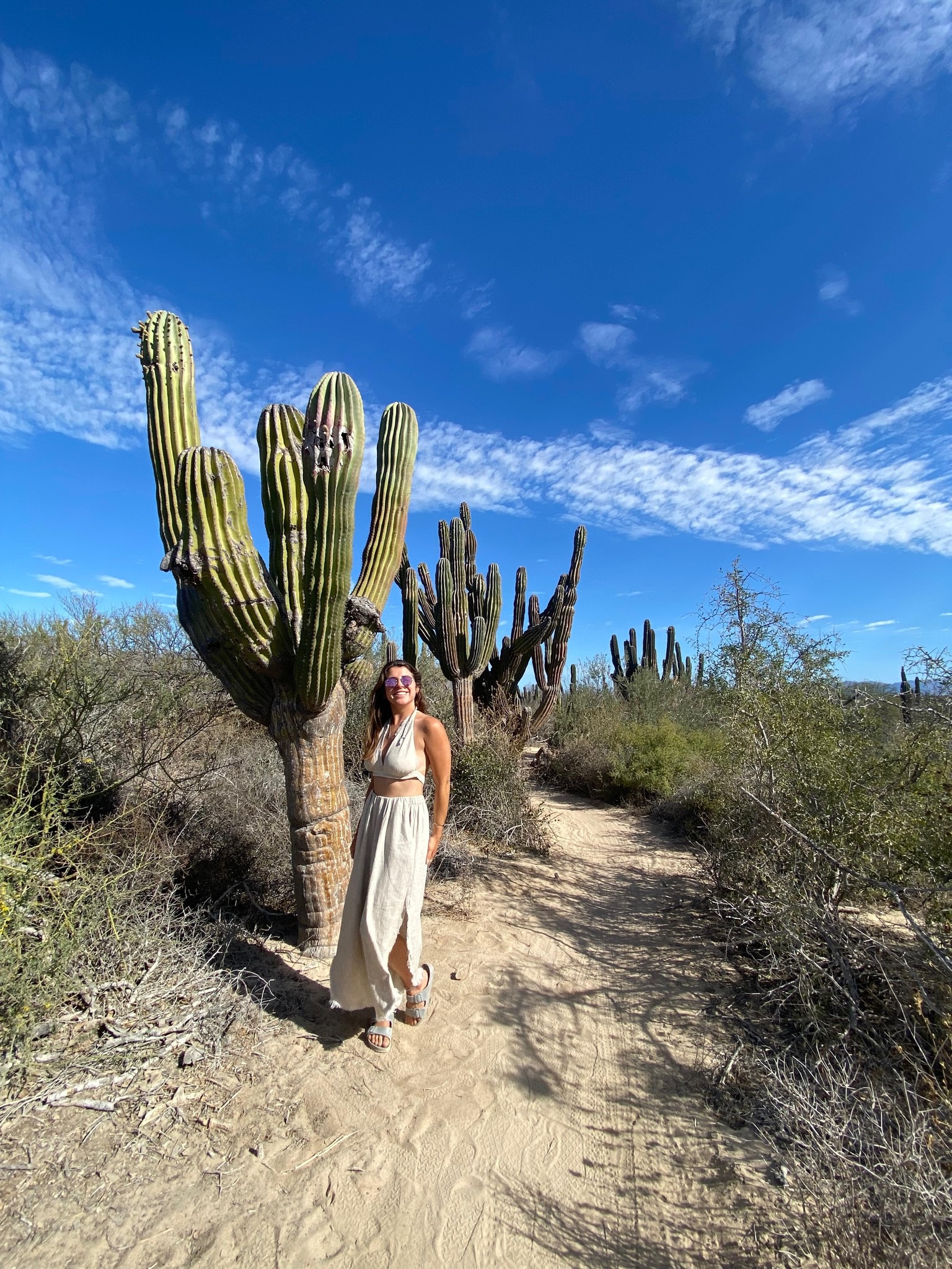 345293414 819650686195098 5278033427622476812 n